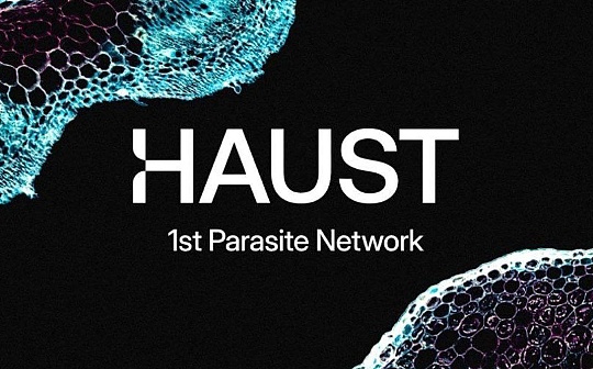 Haust Network：革新区块链领域的革命性Web3巨擘